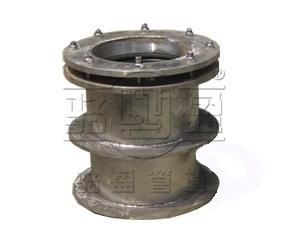 大連市瓦房店市防水套管